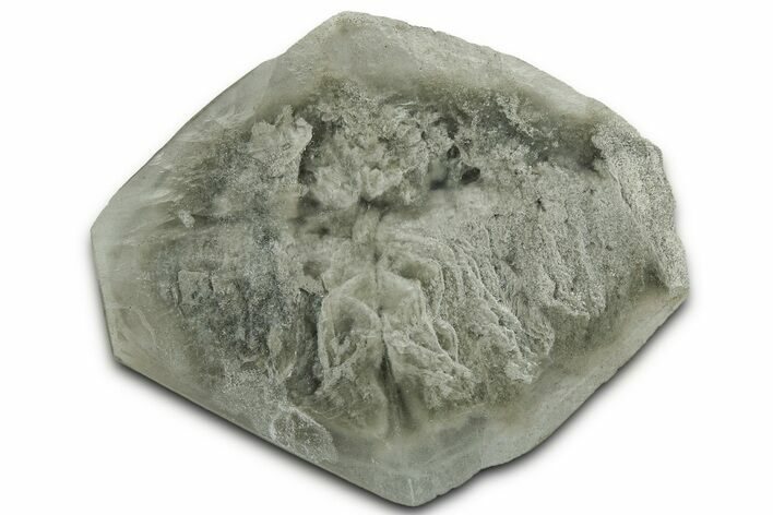 Selenite Crystal - Elder County, Utah #326990